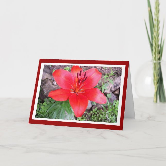 Red Lilie 2 Card (Front)