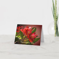 Red Lilies Personalizable Birthday Card