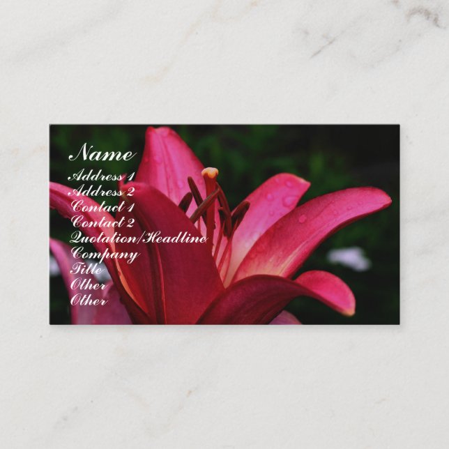 Red Lily Flower Up Close Business Card (Front)