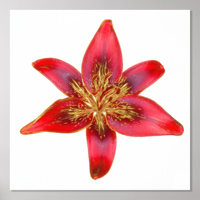 Red Lily - Lilium asiatic Foil Accent Print Poster (Front)