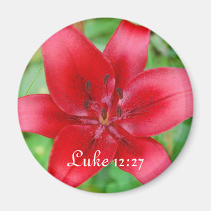 Red Lily Magnet Luke 12:27