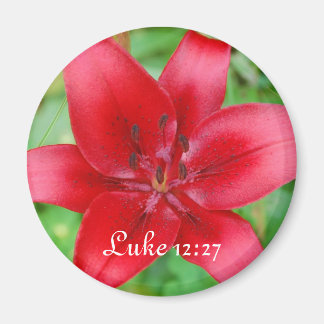 Red Lily Magnet Luke 12:27