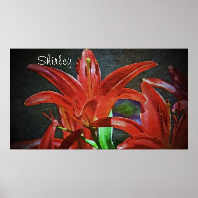 Red Lily-Textured by Shirley Taylor Poster (Front)
