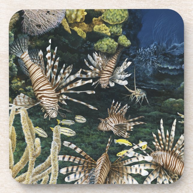 Red Lionfish Coasters (Front)