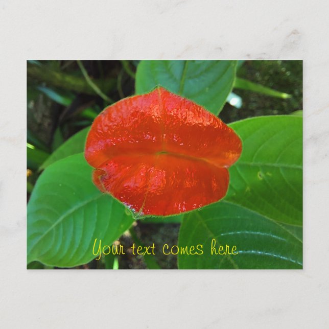 red lips holiday postcard (Front)