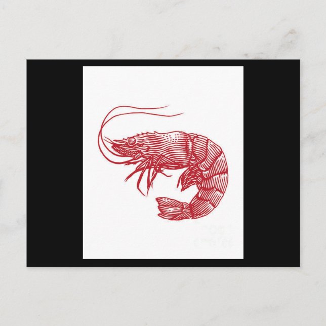 Red Lobster Shrimp Postcard (Front)