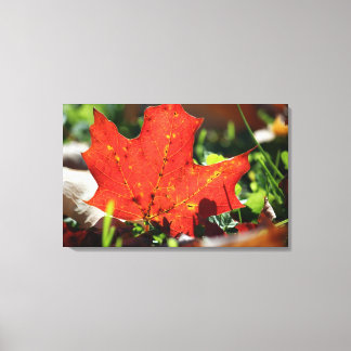 Red Lonely Canvas Print