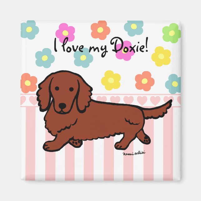 Red Long Haired Dachshund 1 Magnet (Front)