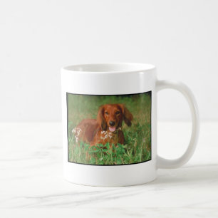 Red Long Haired Dachshund Coffee Mug