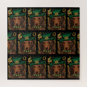 Red Long Haired Dachshund Jigsaw Puzzle