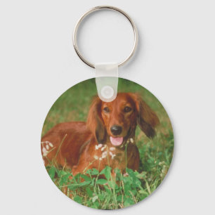 Red Long Haired Dachshund Key Ring