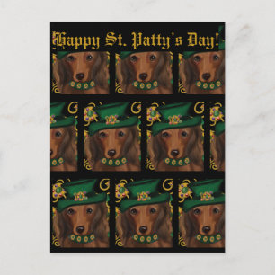 Red Long Haired Dachshund Postcard