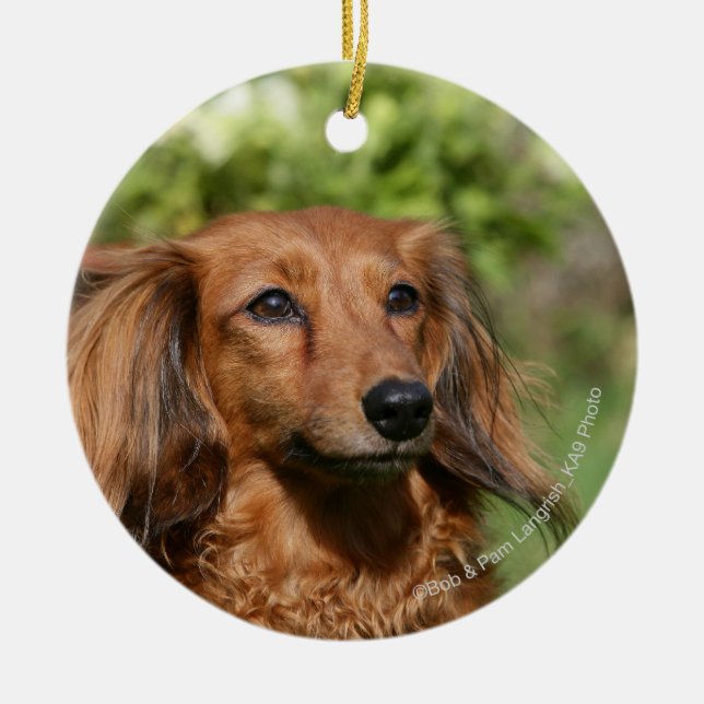 Red Long-haired Miniature Dachshund Ceramic Tree Decoration (Front)