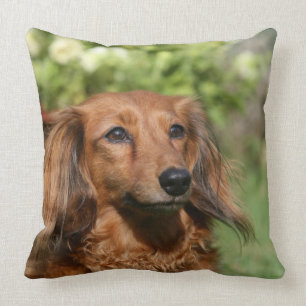 Red Long-haired Miniature Dachshund Cushion