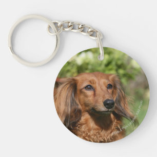 Red Long-haired Miniature Dachshund Key Ring