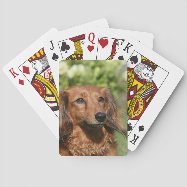 Red Long-haired Miniature Dachshund Playing Cards (Back)