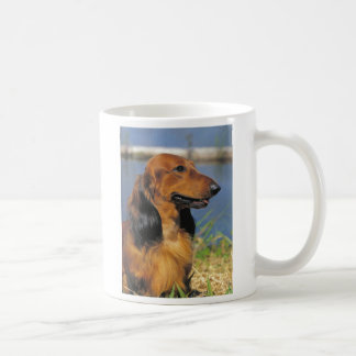 red longhaired dachshund mug