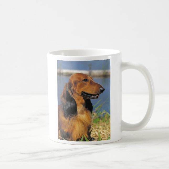 red longhaired dachshund mug (Right)