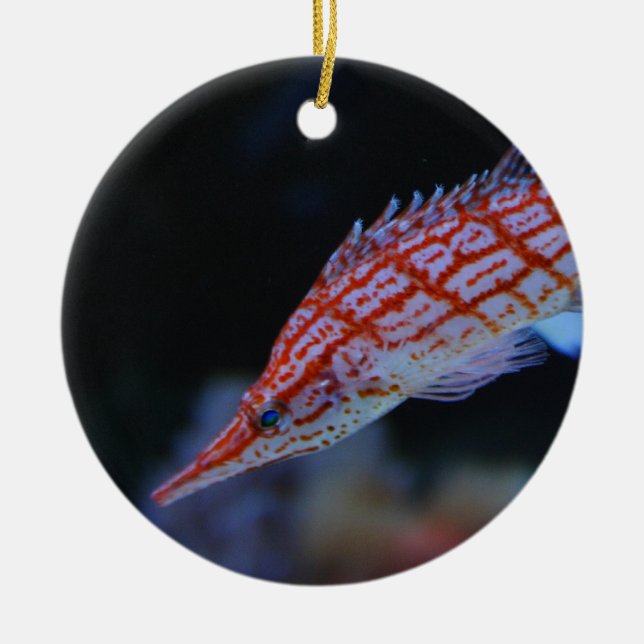 Red Longnose Hawkfish Ceramic Tree Decoration (Front)