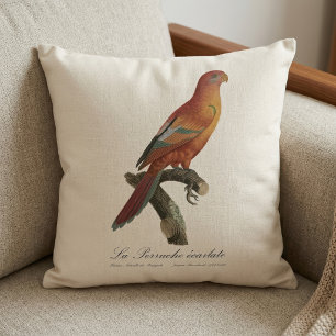 Red Lory or Eos Bornea, Trichoglossus borneus Cushion