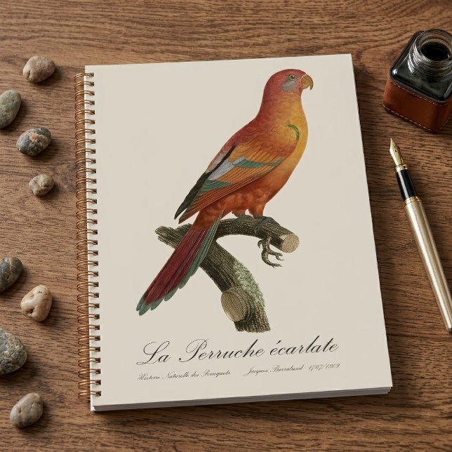Red Lory or Eos Bornea, Trichoglossus borneus Planner (Red Lory or Eos Bornea, Trichoglossus borneus. Planner)