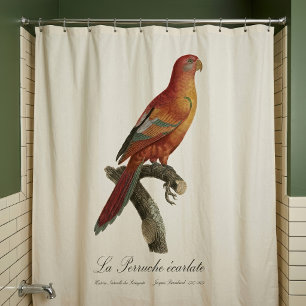 Red Lory or Eos Bornea, Trichoglossus borneus Shower Curtain