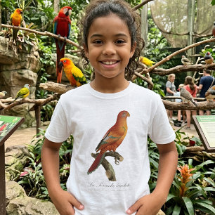 Red Lory or Eos Bornea, Trichoglossus borneus T-Shirt