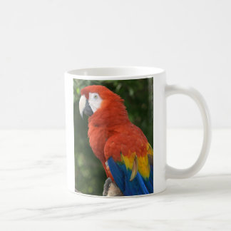 Red Macaw Mug