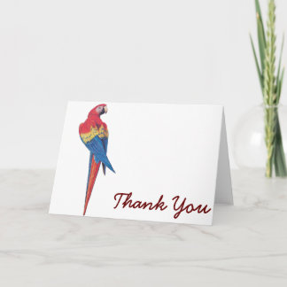 Red Macaw Thank You Card