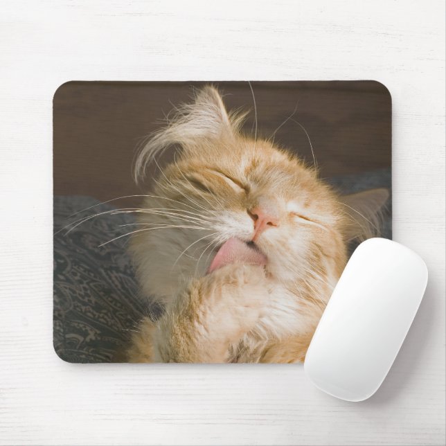 Red Maine Coon Cat Close-Up Photograph Mouse Mat (With Mouse)