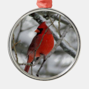 Red male cardinal in the winter metal tree decoration