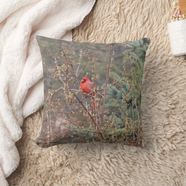 Red Male Cardinal on Forsythia Hedges Throw Pillow (Blanket)
