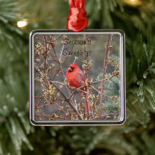 Red Male Cardinal Season's Greetings Metal Tree Decoration