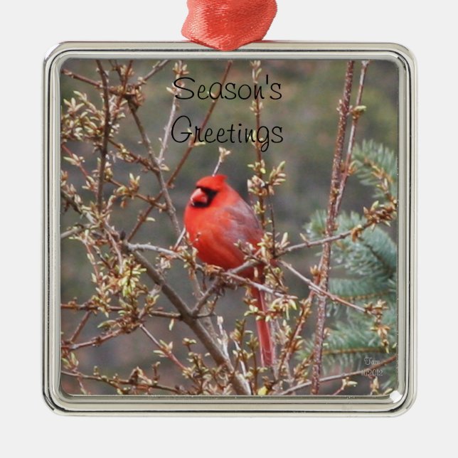 Red Male Cardinal Season's Greetings Metal Tree Decoration (Front)