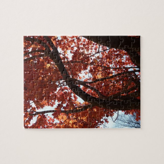 Red Maple Branches Autumn Colours Jigsaw Puzzle (Horizontal)
