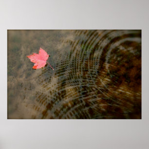 Red Maple Floating Poster