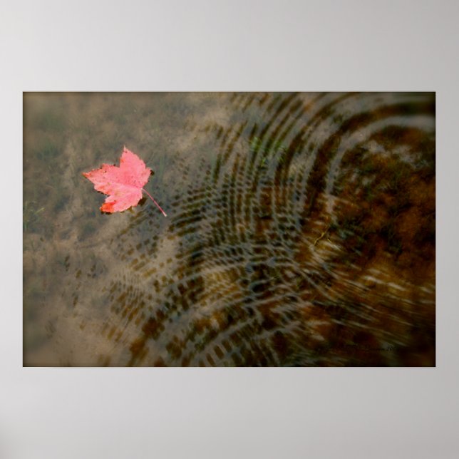 Red Maple Floating Poster (Front)