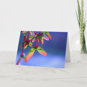 Red Maple Helicopters Blank Note Card