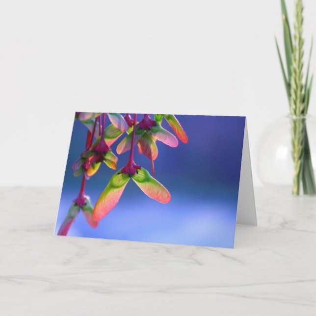 Red Maple Helicopters Blank Note Card (Front)