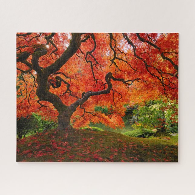 Red Maple in Autumn at Portland Japanese Garden Jigsaw Puzzle (Horizontal)