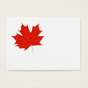 Red maple leaf