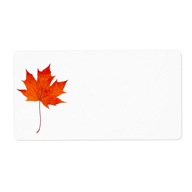 Red maple leaf (Front)