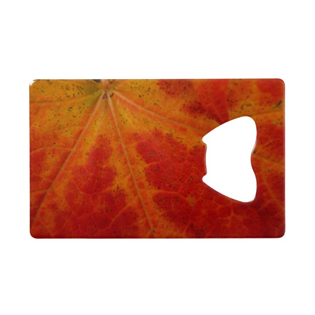 Red Maple Leaf Abstract Autumn Nature Photography (Back Horizontal)