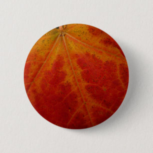 Red Maple Leaf Abstract Autumn Nature Photography 6 Cm Round Badge