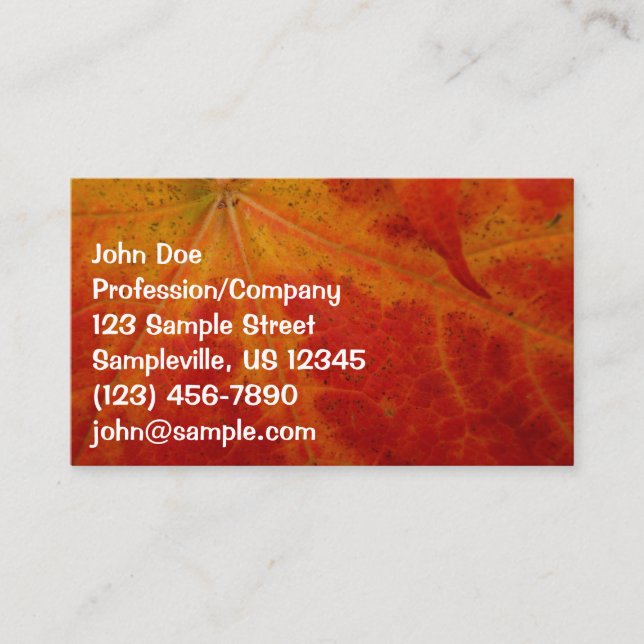 Red Maple Leaf Abstract Autumn Nature Photography Business Card (Front)