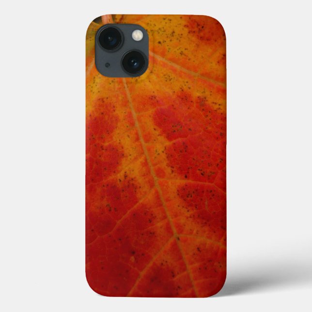 Red Maple Leaf Abstract Autumn Nature Photography Case-Mate iPhone Case (Back)