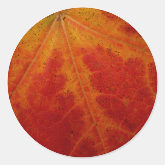 Red Maple Leaf Abstract Autumn Nature Photography Classic Round Sticker (Front)