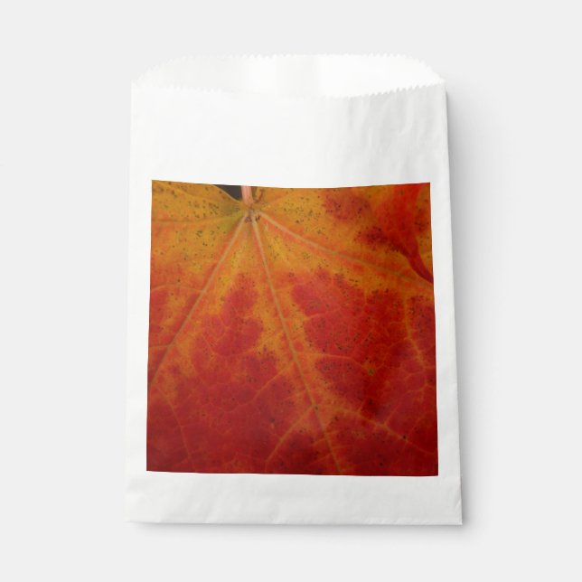 Red Maple Leaf Abstract Autumn Nature Photography Favour Bags (Front)