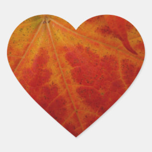 Red Maple Leaf Abstract Autumn Nature Photography Heart Sticker
