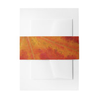 Red Maple Leaf Abstract Autumn Nature Photography